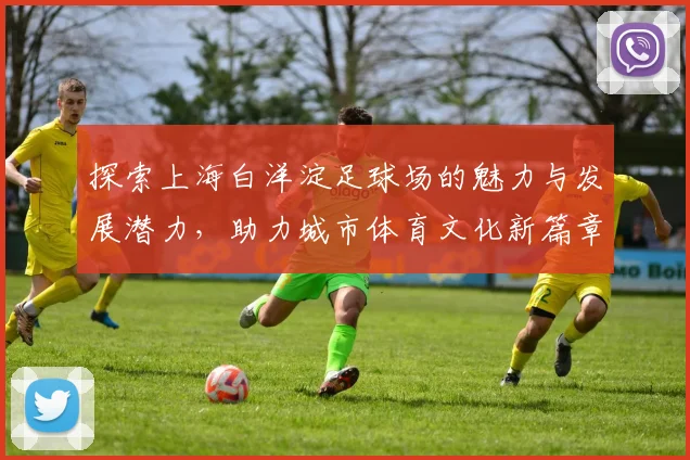 探索上海白洋淀足球场的魅力与发展潜力，助力城市体育文化新篇章
