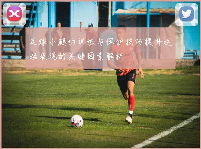 足球小腿的训练与保护技巧提升运动表现的关键因素解析
